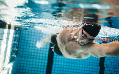 Natation adultes